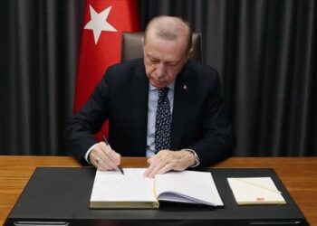 Erdoğan üç ilin müftüsünü görevden aldı, 12 ile yeni müftü atandı
