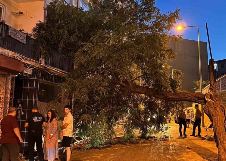 Balkonda kahve içerken üzerine ağaç devrildi 1 Balkonda kahve içerken üzerine ağaç devrildi