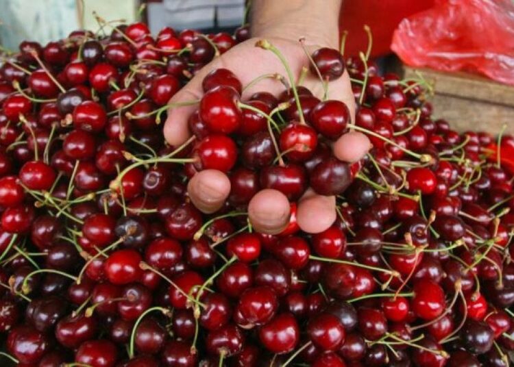 Don vurdu, kiraz ihracatı 67 bin tondan 6 bin tona geriledi 1 Taneyle satılmaya başlanan kiraz, haziran ayının zam şampiyonu oldu