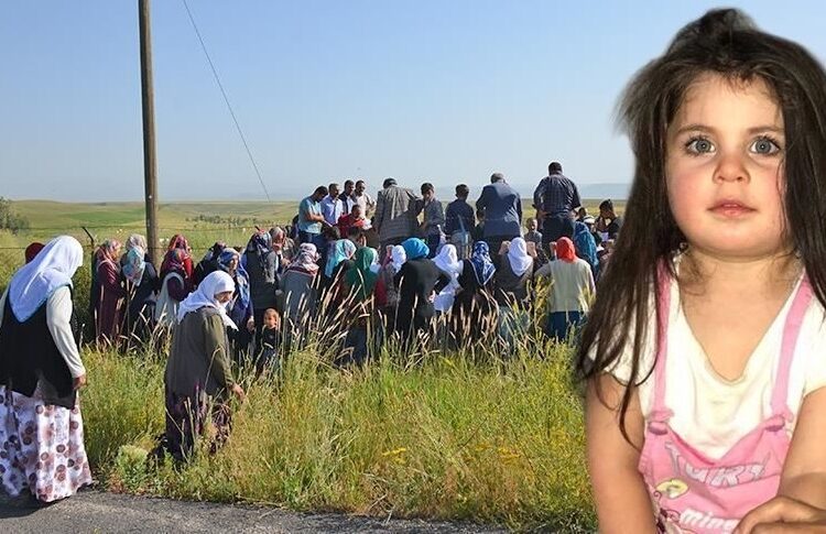 Leyla davası Yargıtay'dan döndü: 7 sanık yeniden yargılanacak 1 Leyla davası Yargıtay’dan döndü: 7 sanık yeniden yargılanacak