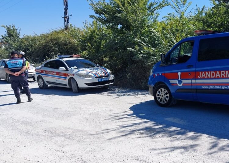 Antalya'da hayvan parkından kaçarak 1 kişiyi yaralayan aslan öldürüldü 1 Antalya’da hayvan parkından kaçarak 1 kişiyi yaralayan aslan öldürüldü