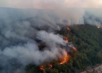 Tekirdağ’ Şarköy’de başlayan orman yangını Çanakkale’ye sıçradı