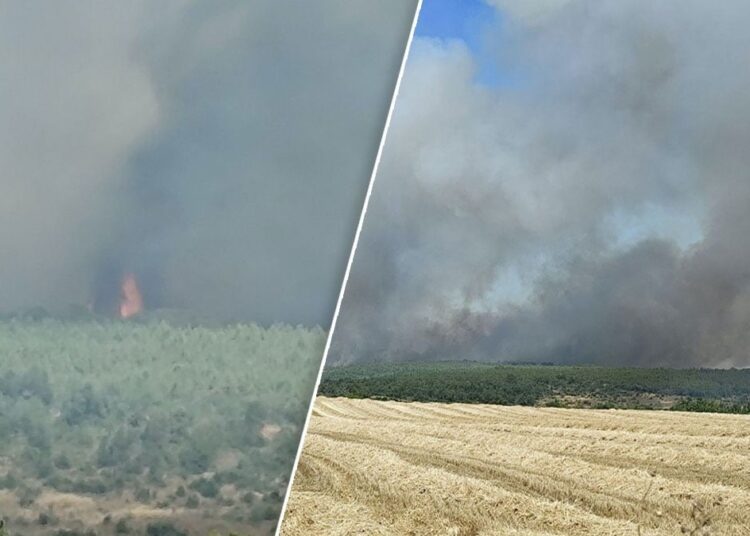 Silivri'de orman yangını: Havadan ve karadan müdahale ediliyor 1 Silivri’de orman yangını: Havadan ve karadan müdahale ediliyor