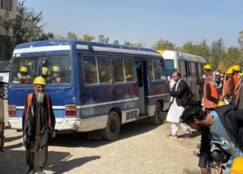 Taliban, ekonomiye destek için Türkiye’ye işçi göndermeyi planlıyor