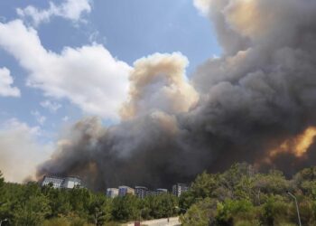 Çanakkale’deki yangınla ilgili 4 gözaltı