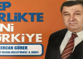 Yanan orman alanında ‘tesadüf’: AK Parti’li isim bir gün önce maden izni almış