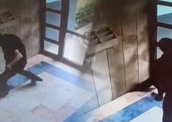 Kediyi tekmeleyerek öldüren şüpheli gözaltına alındı