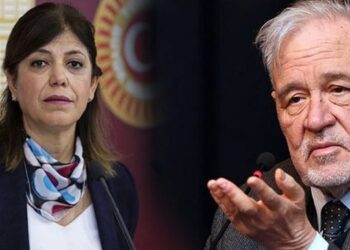 DEM Parti’li Beştaş’tan İlber Ortaylı’ya: ‘Bölücülüğün kendisi’