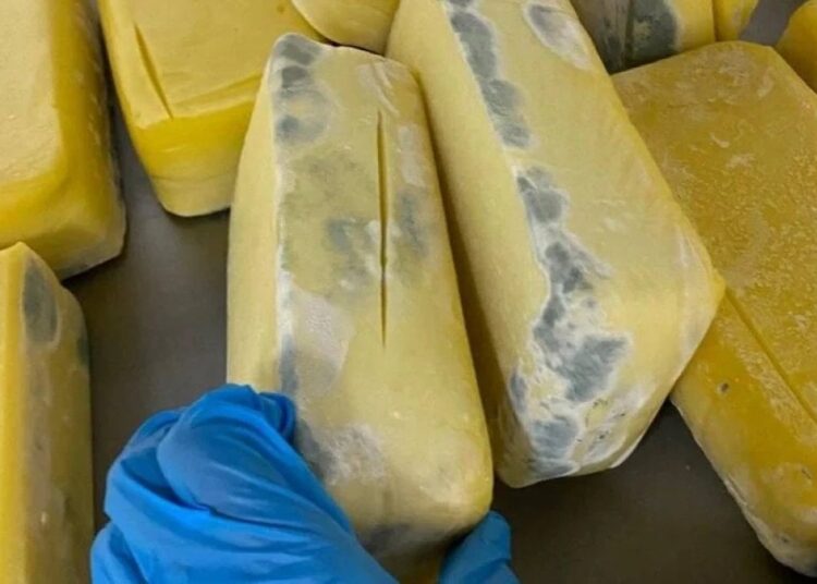 Piyasaya sürülmek istenen küflü tost peynirlerine el konuldu 1 Piyasaya sürülmek istenen küflü tost peynirlerine el konuldu