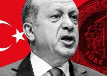 Ekin Tanyel yazdı I Makrodan mikroya