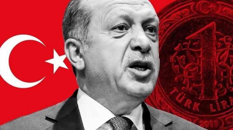 Ekin Tanyel yazdı I Makrodan mikroya