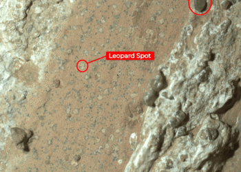 NASA açıkladı: Mars’ta bulunan leopar benekli kaya, en net yaşam belirtisi olabilir