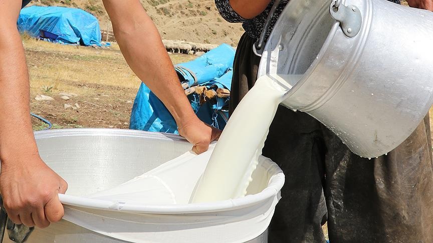 Anasayfa 68 “Süt karşılığı yem” uygulayan 39 firma hakkında soruşturma