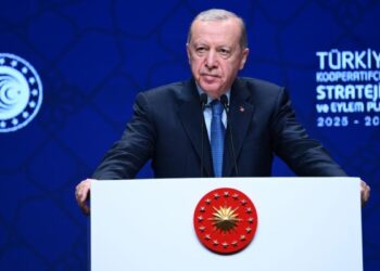 Erdoğan: Türkiye’yi kargaşa, kaos girdabına sürüklemek istiyorlar
