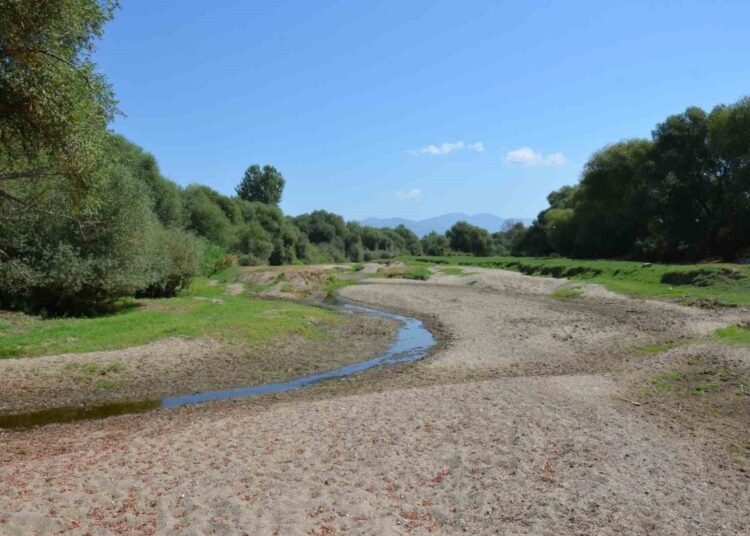 Kuraklık Gediz Nehri'ni de vurdu: Suyu tamamen kurudu 1 Kuraklık Gediz Nehri’ni de vurdu: Suyu tamamen kurudu