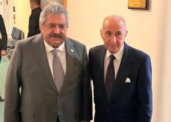 Hikmet Çetin: Feti Bey kayyum atanmasının doğru olmadığını söyledi