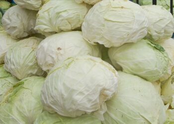 Pazarlarda çeyrek lahana satış dönemi