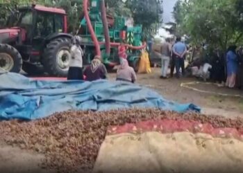 Ordu’da su nedeniyle çıkan kavgada 2 kişi hayatını kaybetti