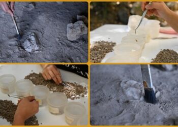 Kahramanmaraş Direkli Mağarası’nda 13 bin yıllık delici el aleti ve boncuklar bulundu