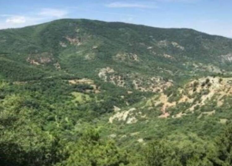 ÇED onayı verildi: Altın madeni için 57 bin ağaç kesilecek