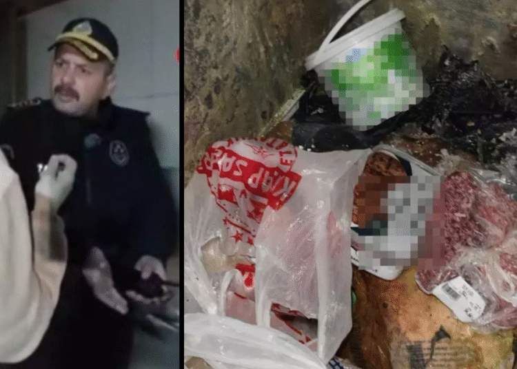 Pidecideki kokmuş etleri gören zabıta isyan etti: "Bunları vatandaş mı yedirecektiniz?" 1 Pidecideki kokmuş etleri gören zabıta isyan etti: “Bunları vatandaş mı yedirecektiniz?”