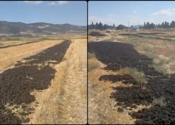 Arıtma tesisinden çıkan çamuru tarlaya döken firmaya rekor ceza