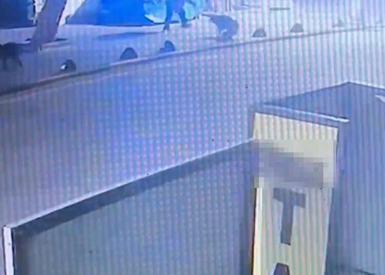 Emekli astsubay, köpeği tabancayla vurdu: İfadesi alınıp serbest bırakıldı 1 Emekli astsubay, köpeği tabancayla vurdu: İfadesi alınıp serbest bırakıldı