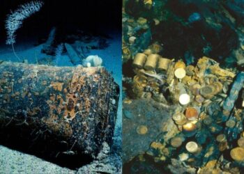 Yüzyılın keşfi: Denizde tonlarca altın buldular