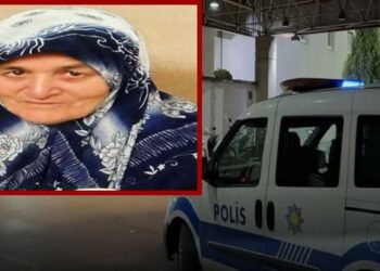 Kan donduran cinayet: 16 yaşındaki çocuk babaannesini öldürdü