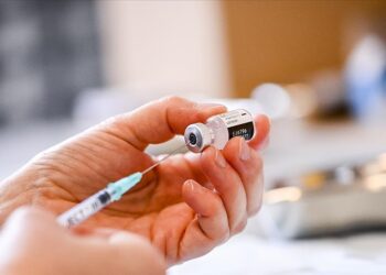 “Biontech aşıları Türkiye’ye gelmedi” iddiası
