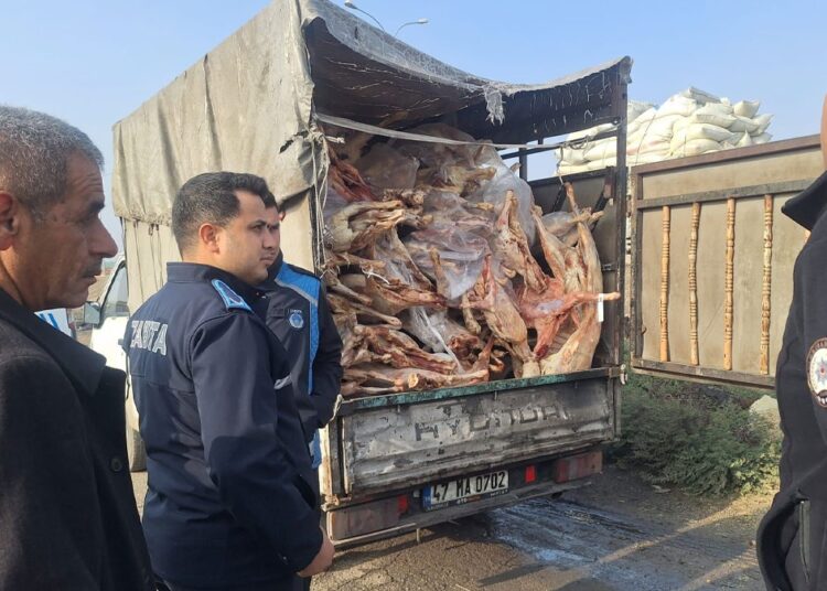 Zehirlenmeler ders olmadı, 2 ton bozuk et ele geçirildi 1 Zehirlenmeler ders olmadı, 2 ton bozuk et ele geçirildi