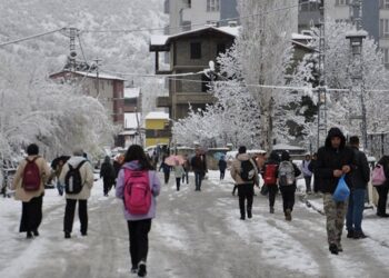 İlk kar tatili haberi Bitlis’ten geldi: İki ilçede eğitime ara verildi