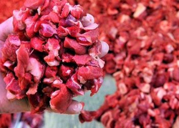 Kuşbaşı etin kilosu bin lira oldu