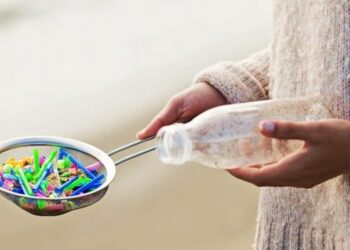 Araştırma: Her yıl 250 gram plastik yiyoruz