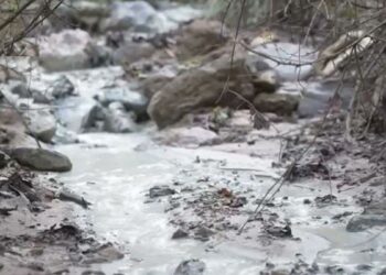 Atık barajı çöktü, kimyasal sular dereye karıştı
