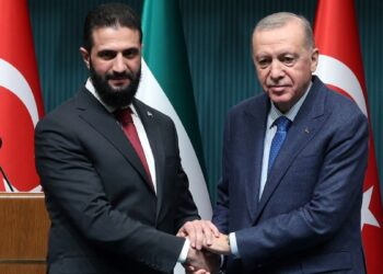 Şara ile görüşen Erdoğan: Terörle mücadeleye desteğimiz sürecek 5 Şara ile görüşen Erdoğan: Terörle mücadeleye desteğimiz sürecek