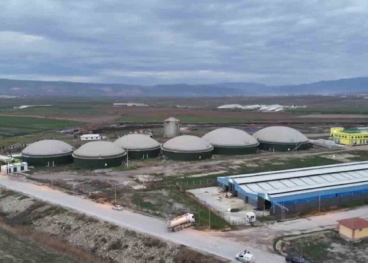 Biyogaz tesisinde zehirlenen 3 işçi kurtarılamadı