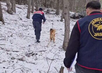 10 yıl önce öldürülen 2 kadının cinayet şüphelileri izmarit üzerinden bulundu