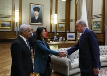 Hüsnü Yusuf Turabiç yazdı I DEM’li Buldan; Erdoğan’la seçim konuşulmadı