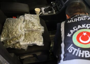 Gümrüklerde son bir haftada 659 kilogram uyuşturucu ele geçirildi