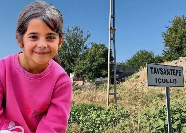 Muhtar amcası tutuklanmıştı: Narin Güran’ın köyünde muhtarlık seçimi yapılıyor