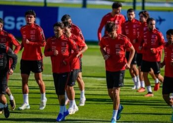 A Milli Futbol Takımı, Fransa maçına hazır