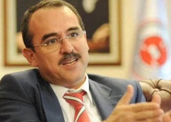 Aslı Güney yazdı I Sadullah Ergin, Kozinoğlu dosyasıyla ilgili neden susuyor?