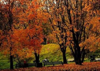 H. Agah Kalender yazdı I “Eylüldü… Savruluşu bundandı…”