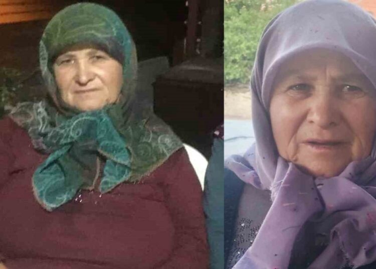 Yaşlı kadını cinsel taciz sonucu öldürmüştü: Cezası belli oldu