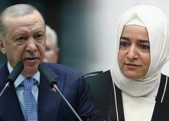 Erdoğan’ın eski metin yazarı Ünal’dan Sayan Kaya açıklaması: Erdoğan’ın güvenini boşa çıkardı